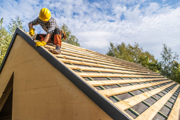 Best Roof Gutter Cleaning  in Pleasant Hills, MD
